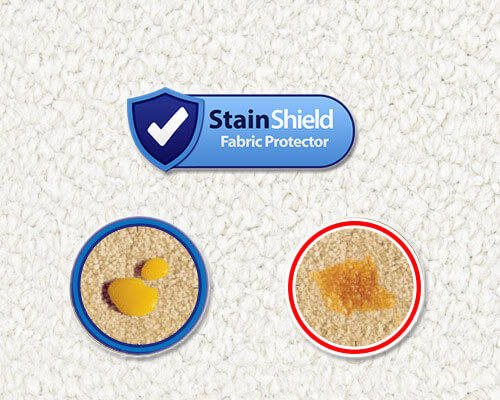 Stainshield Carpet Treatment Stainshield Carpet Treatment