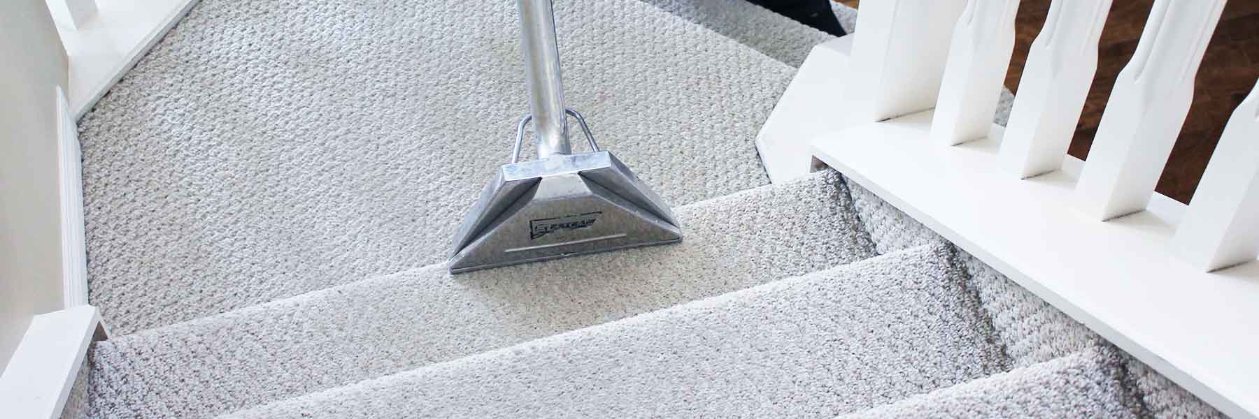 Carpets Clean Like New