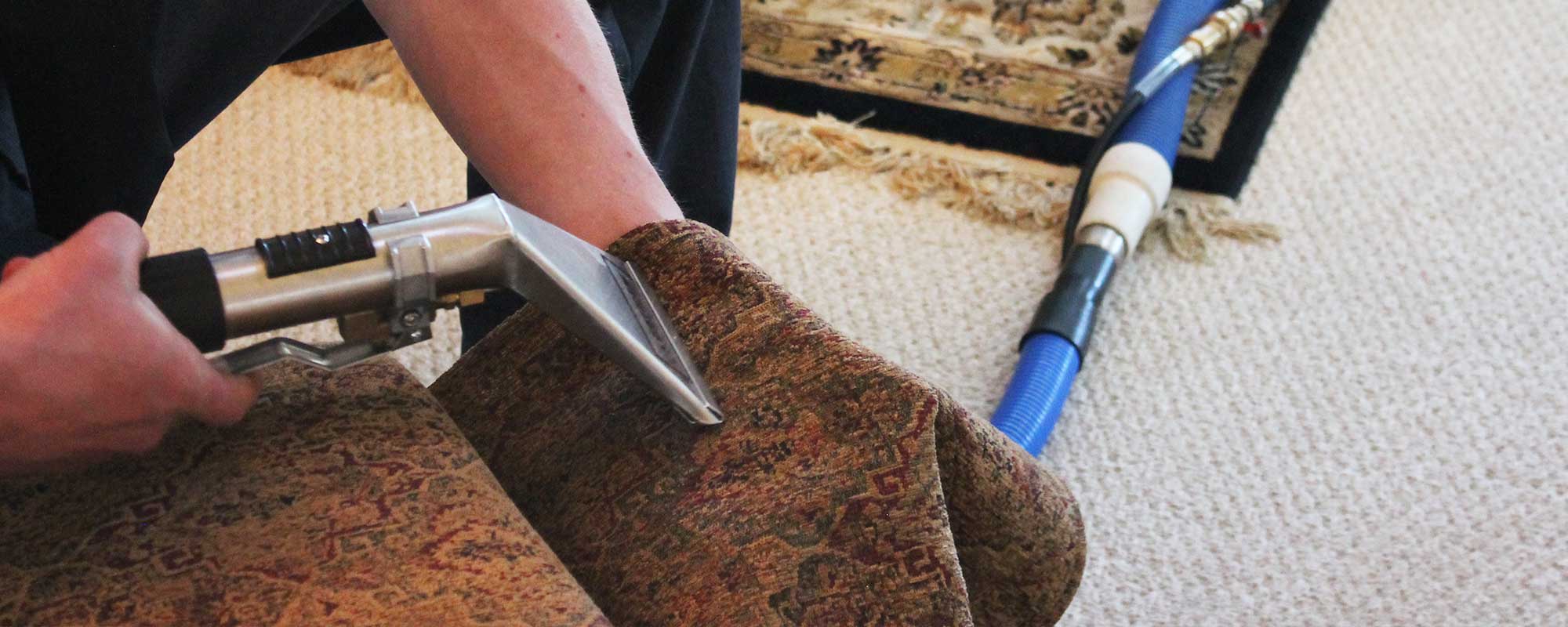 Alberta-Carpet-Cleaning-Technician-cleaning Alberta Carpet Cleaning Technician cleaning