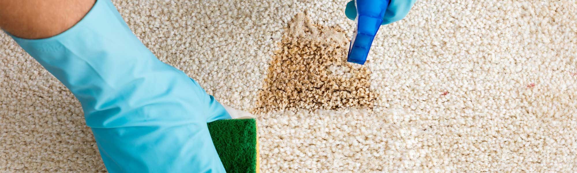 Carpet-Stain-Removal-Guide Carpet Stain Removal Guide