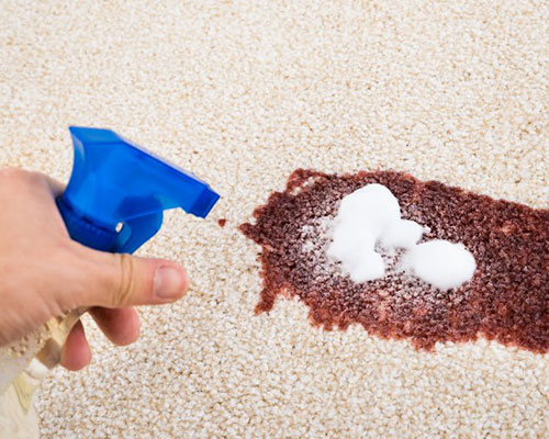 DIY Carpet Stain Removal Guide