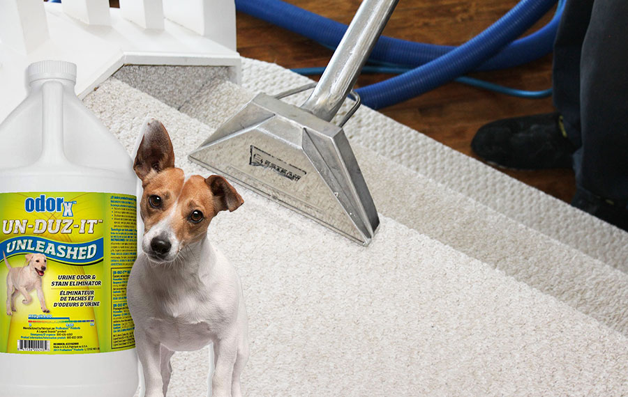 Odor-Eliminating Treatment for Carpet